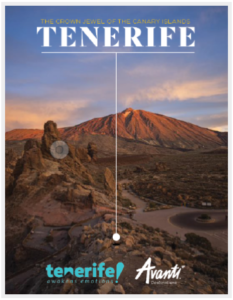 Tenerife Vacation Poster