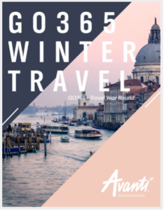 Winter Travel Brochure